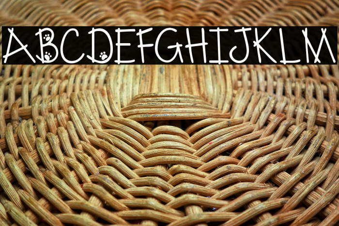 Austie Bost Kitten Klub Example 3