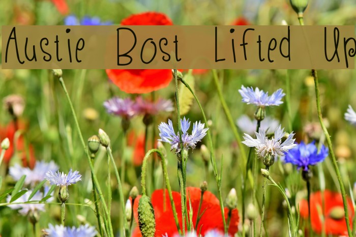 Austie Bost Lifted Up Font examples