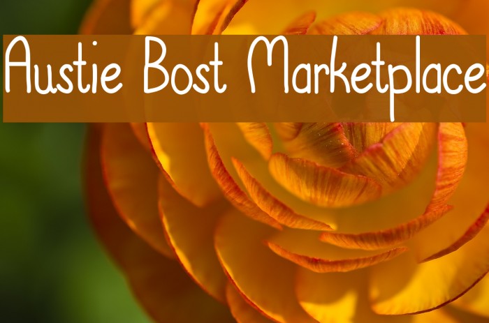 Austie Bost Marketplace Font examples
