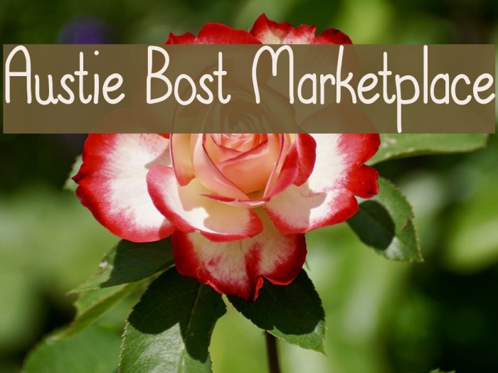 Austie Bost Marketplace Font examples