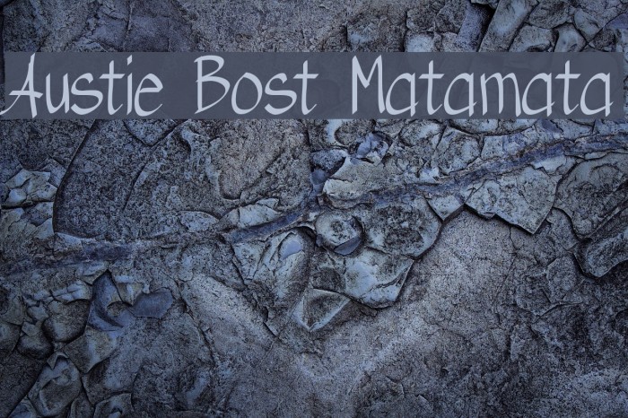 Austie Bost Matamata Font examples