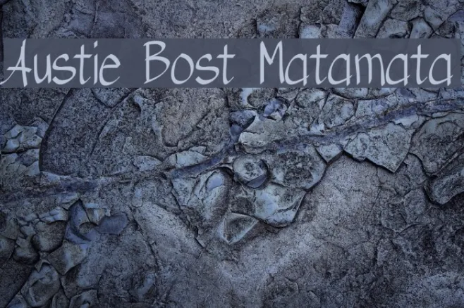 Austie Bost Matamata Example 1
