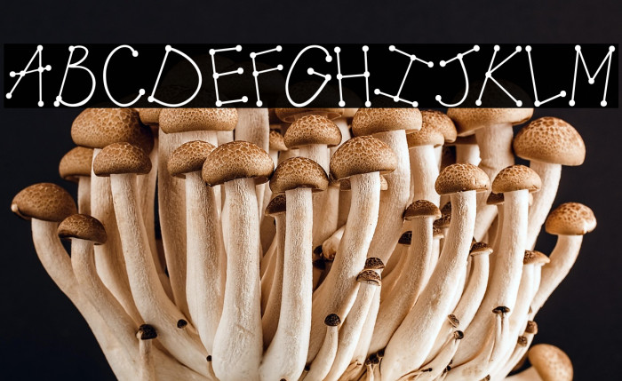 Austie Bost Mud Pies Example 3