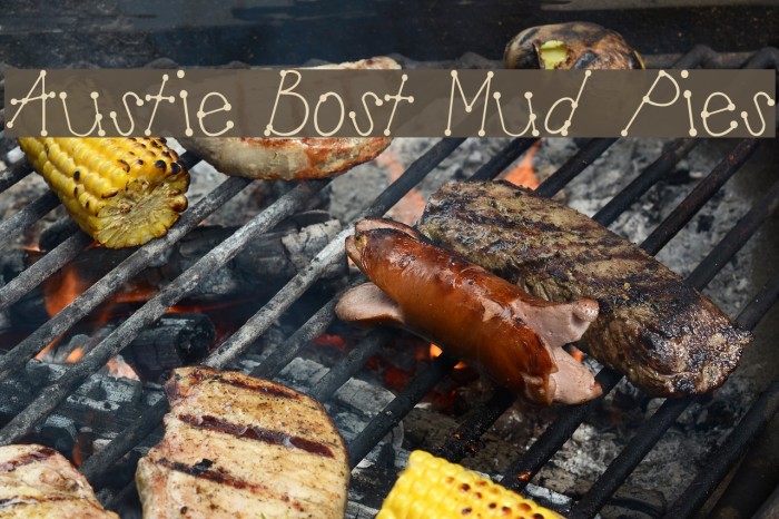 Austie Bost Mud Pies Fonte examples