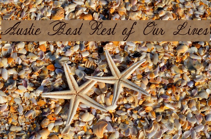 Austie Bost Rest of Our Lives Font examples