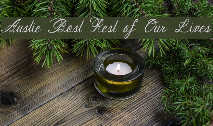 Austie Bost Rest of Our Lives Font examples