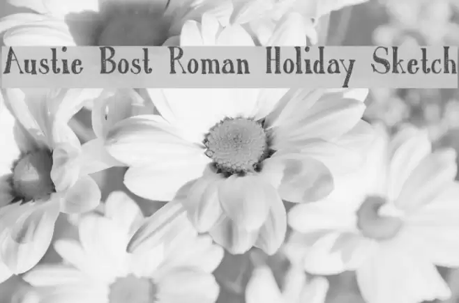 Austie Bost Roman Holiday Sketch Font examples