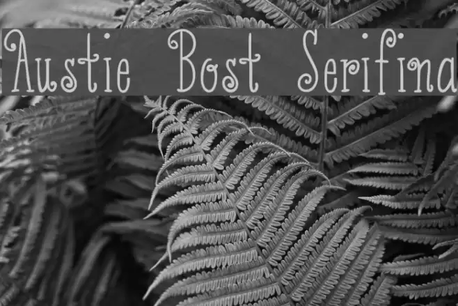 Austie Bost Serifina Font examples
