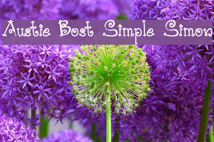 Austie Bost Simple Simon Font examples