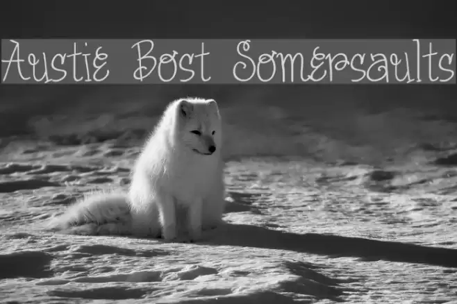 Austie Bost Somersaults Font examples