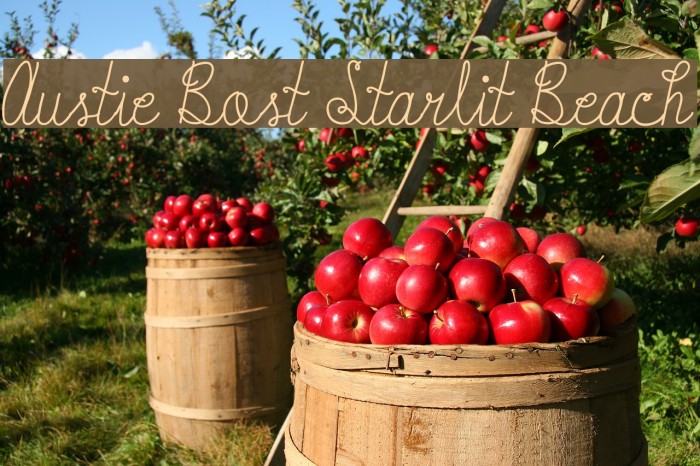 Austie Bost Starlit Beach Font examples