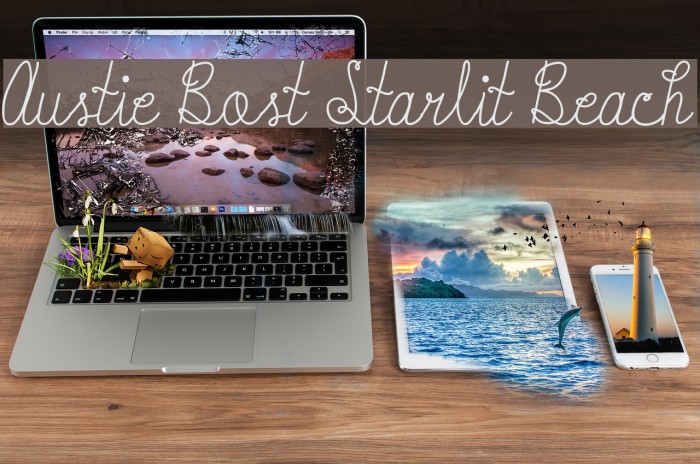 Austie Bost Starlit Beach Font examples