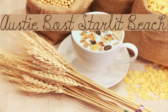 Austie Bost Starlit Beach Font examples