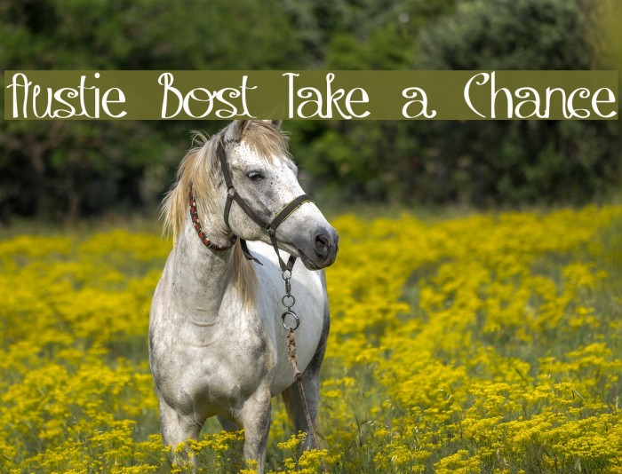 Austie Bost Take a Chance Font examples