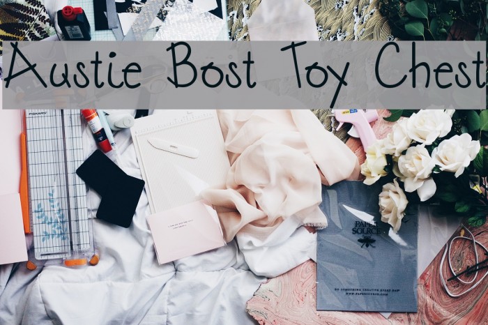 Austie Bost Toy Chest Font examples