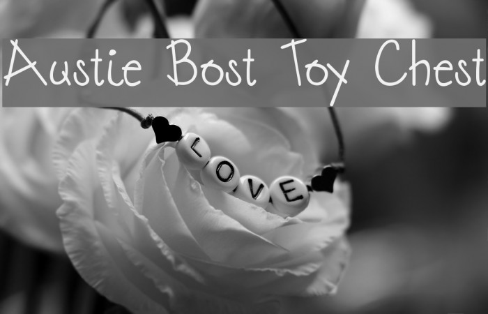 Austie Bost Toy Chest Font examples