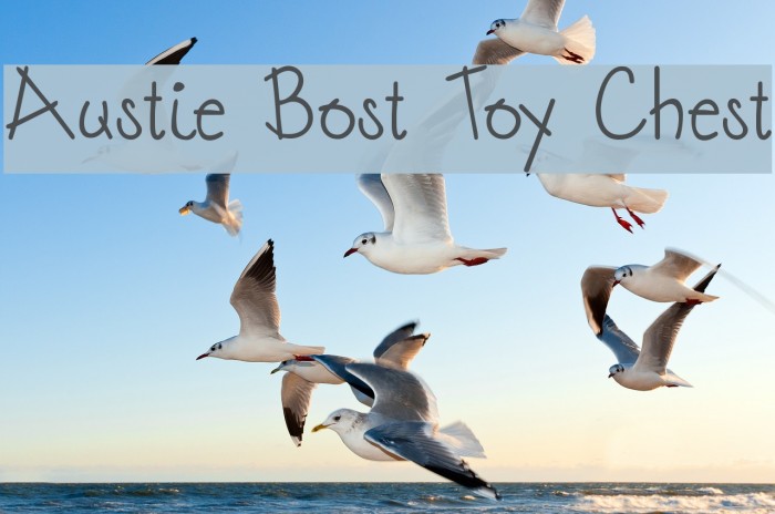 Austie Bost Toy Chest Font examples