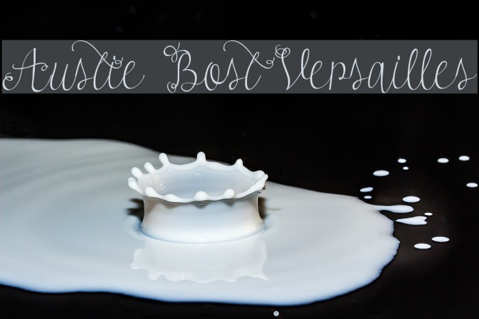 Austie Bost Versailles Font examples