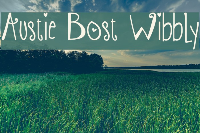 Austie Bost Wibbly Example 2