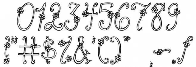 Austie Bost You Wear Flowers Hollow Polices AUTRES CHARS