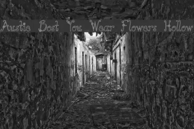 Austie Bost You Wear Flowers Hollow Polices examples