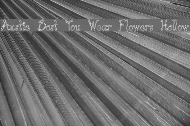 Austie Bost You Wear Flowers Hollow Polices examples