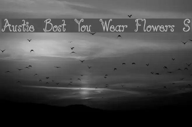 Austie Bost You Wear Flowers S Font examples