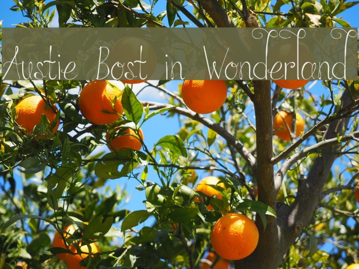 Austie Bost in Wonderland Font examples