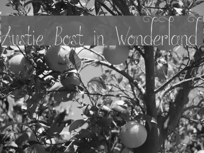 Austie Bost in Wonderland フォント examples