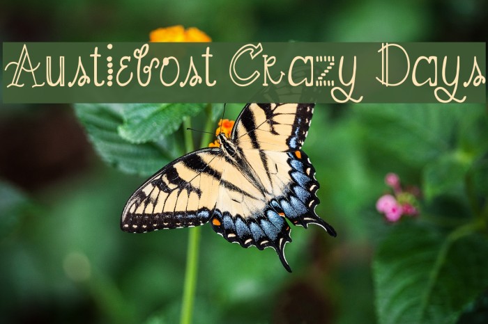 Austiebost Crazy Days Font examples