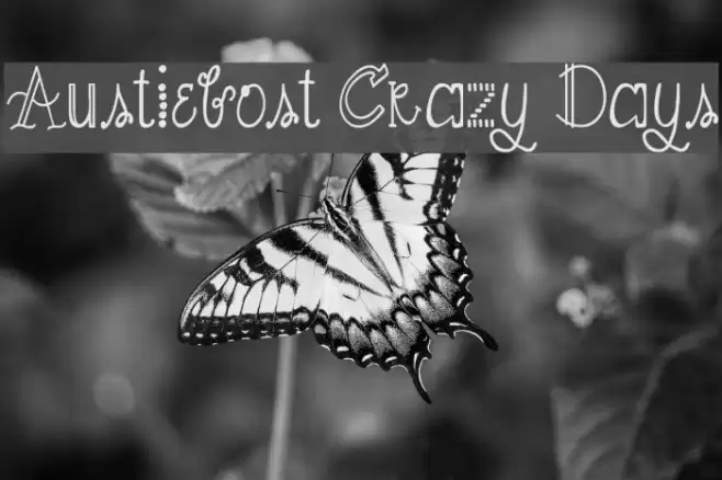 Austiebost Crazy Days フォント examples