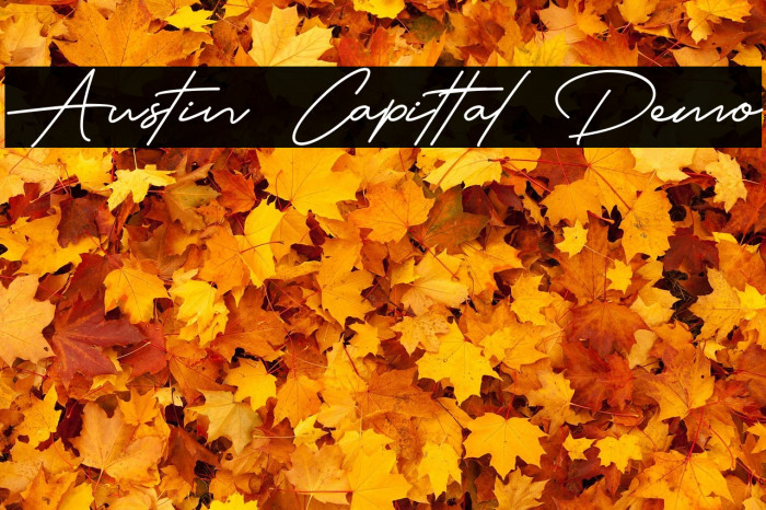 Austin Capittal Demo Example 2