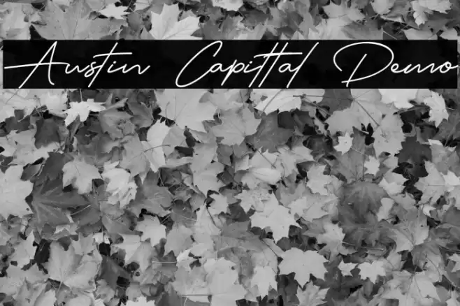 Austin Capittal Demo Font examples