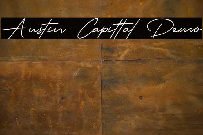 Austin Capittal Demo Example 3