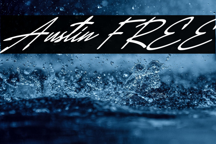 Austin FREE Example 1