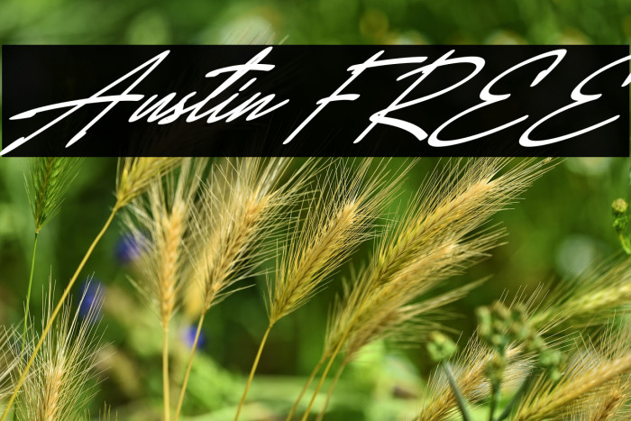 Austin FREE Example 2