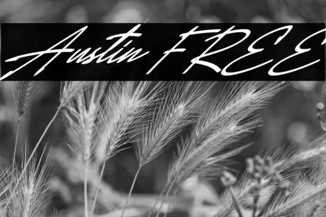 Austin FREE Schriftart examples
