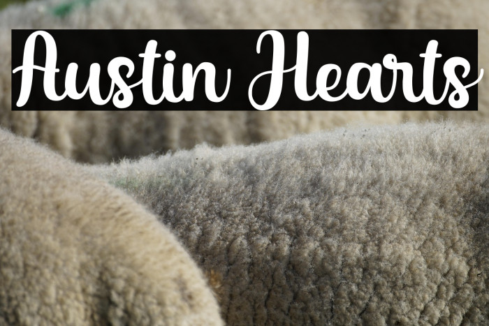 Austin Hearts Example 1