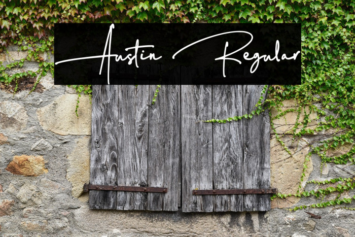 Austin Regular Example 1