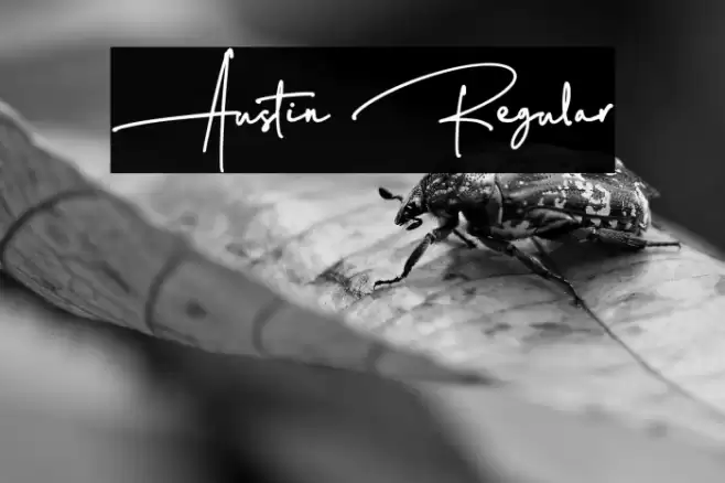 Austin Regular Font examples