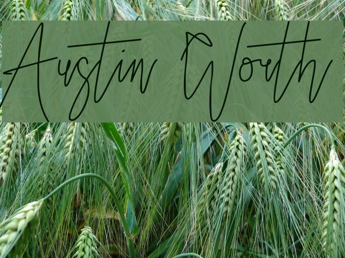 Austin Worth Font examples