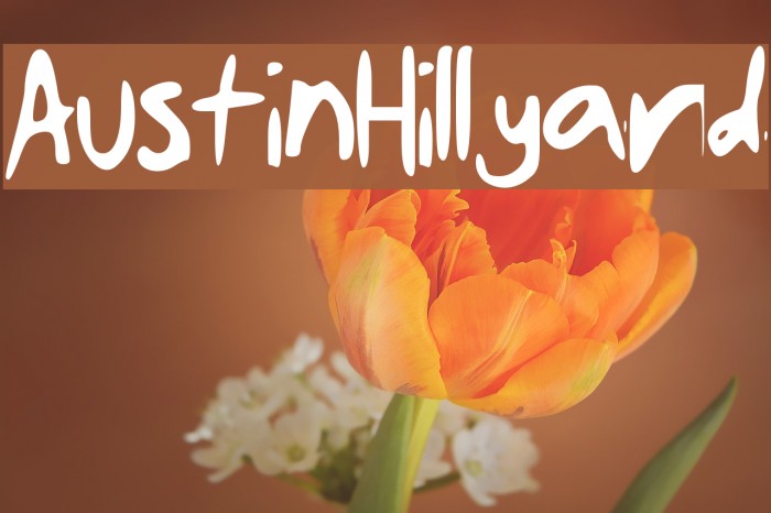 AustinHillyard Font examples