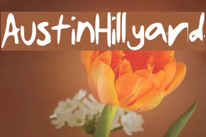 AustinHillyard Example 1