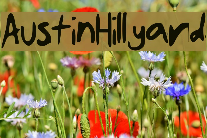 AustinHillyard Font examples