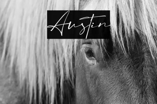 Austin Font examples
