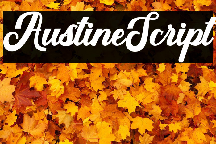 AustineScript Example 3