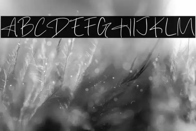 Austra Down Font examples