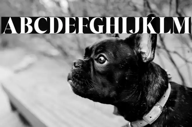 Austragen Font examples