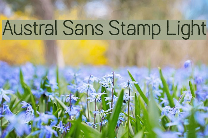 Austral Sans Stamp Light Font examples