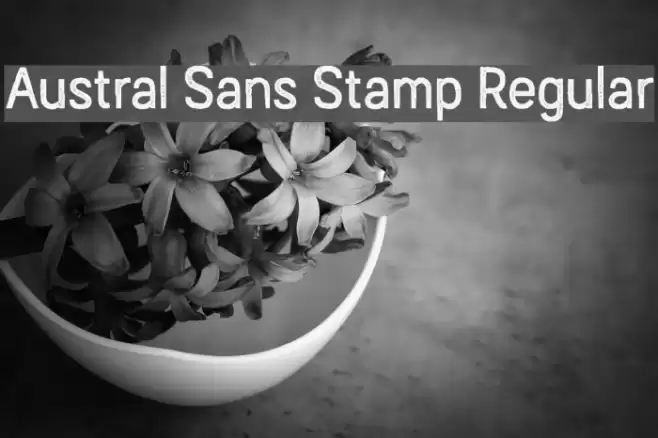 Austral Sans Stamp Regular Font examples